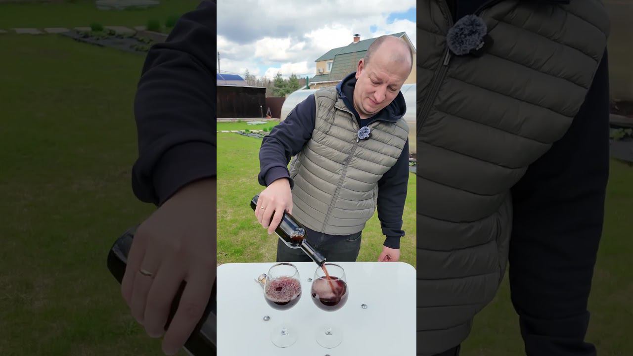 Дегустация домашнего гранатового вина #самозванцы #shorts смотреть онлайн