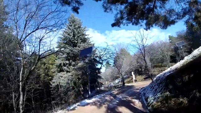 Зимний Кисловодск.Утренняя видеозарисовка парка. Autumn Kislovodsk Morning Video Survey Of The Park