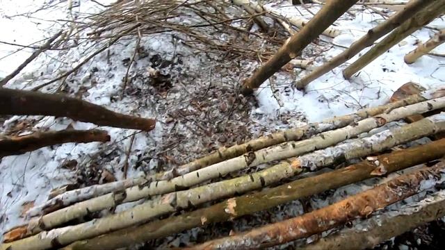 ЛЕСНОЙ ЛАГЕРЬ. Подготовка к ночевке. Строю односкатный шалаш в диком лесу. Лесная кухня. Бушкрафт # смотреть онлайн