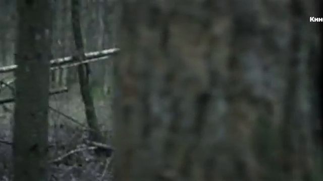 «Топи» _ Открывающие титры (АИГЕЛ).mp4 смотреть онлайн