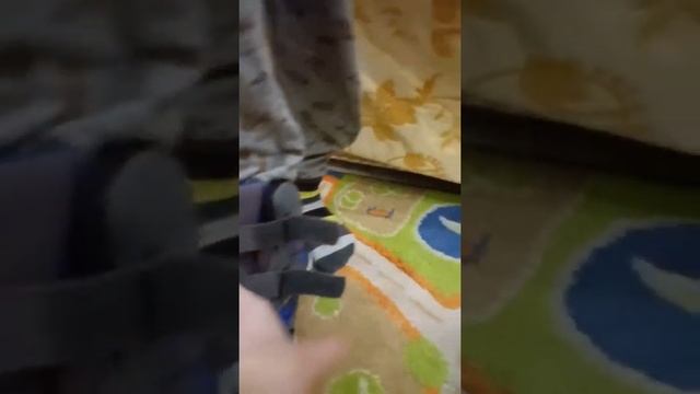 Детская обувь ЗЕБРА тест-драйв 2018 Таганрог смотреть онлайн