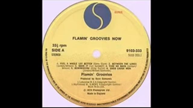 Genic - Flamin Groovies Now смотреть онлайн