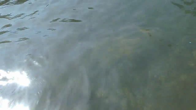 Дима и Наташа Калининград. смотреть онлайн