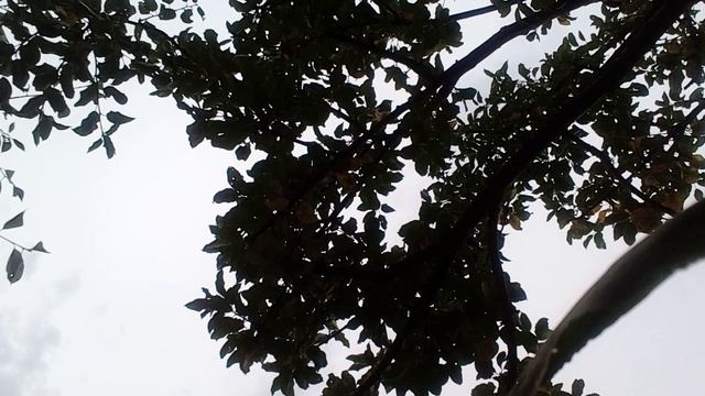 20240830_112411.mp4 смотреть онлайн