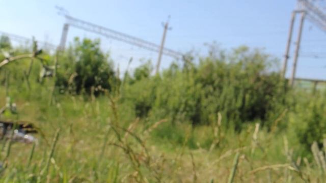 Зачем нам заморские ковиды?У нас и свои ,,зверюги,, водятся. смотреть онлайн