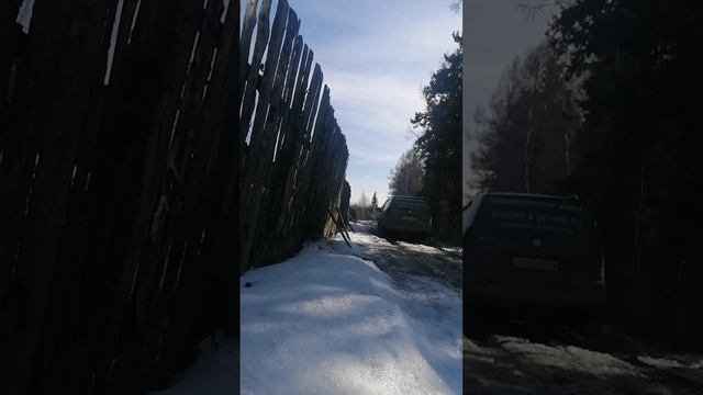 ML320 на легком Сибирском бездорожье