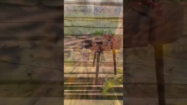 Всем привет, я Нади и я человек оркестр 😃 будем знакомы ❤️ смотреть онлайн