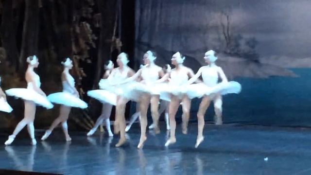 Эрмитажный Театр Лебединое Озеро смотреть онлайн