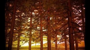 Охота на пиранью