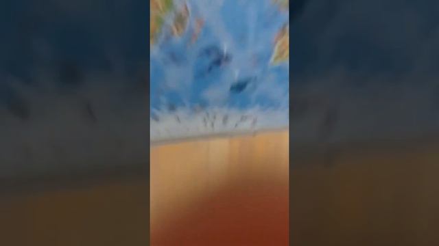 ПОЗНАВАТЕЛЬНАЯ ИГРА. ОТГАДЫВАЕМ ЖИВОТНЫХ. смотреть онлайн