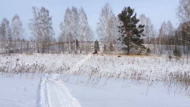 Cнегоход Polaris Widetrak LX смотреть онлайн