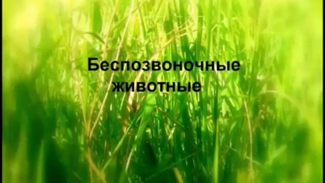 Красная Книга Самарской области смотреть онлайн