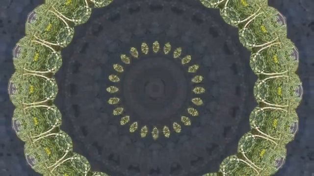 Ченнелинг 2023. Как совершать выбор. Принятие трудных решений. Помощь с выбором. смотреть онлайн