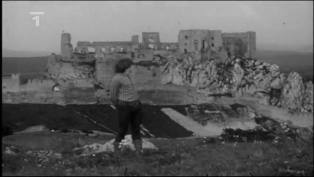 Světská sláva - polní tráva -- Václav Neckář смотреть онлайн