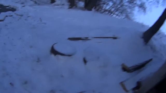 Воскресное купание в Живоносном источнике 29.01.2017 3 смотреть онлайн