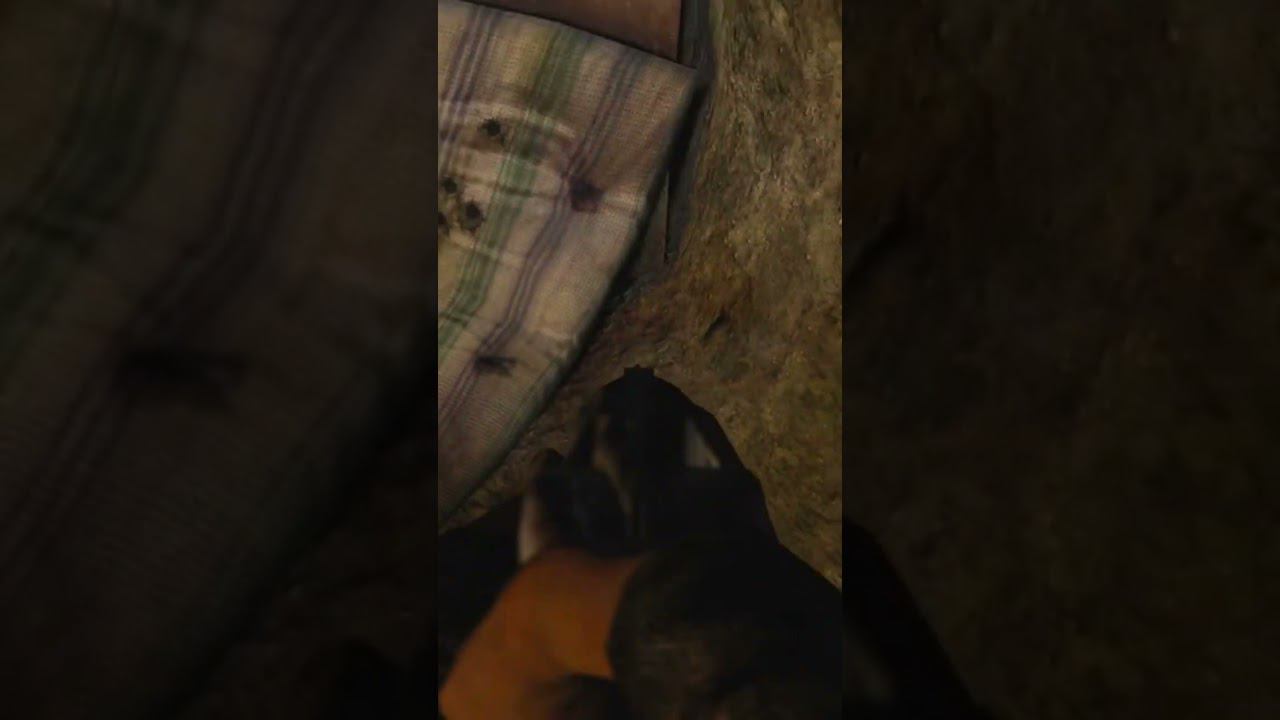 ТАЙНИК С ДЕТЕКТОРОМ СТАЛКЕР ЧИСТОЕ НЕБО смотреть онлайн