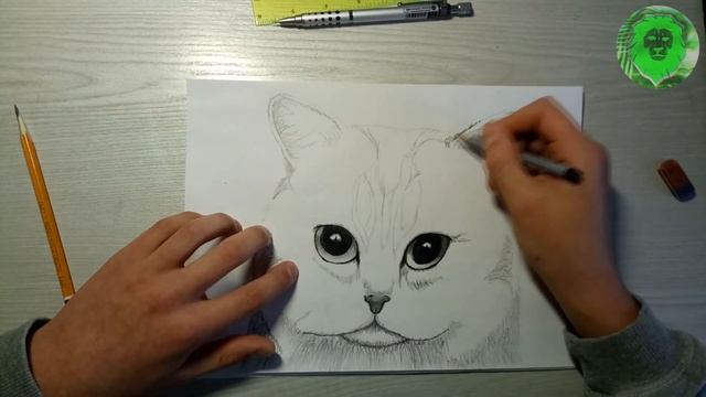 БРИТАНСКИЙ КОТИК / Учимся рисовать №2 смотреть онлайн