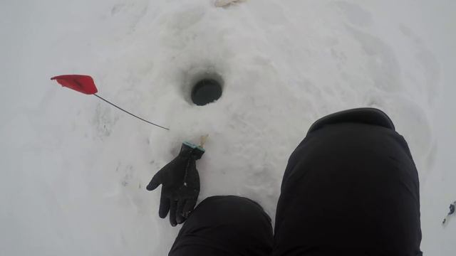 Подлещик на ТМЗ водохранилище 22.01.18 смотреть онлайн