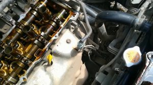 Моторное масло в свечных колодцах. Снимаем клапанную крышку.