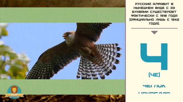 Мир малышам | Развивающие видео для детей | Русский алфавит: Буква Ч смотреть онлайн