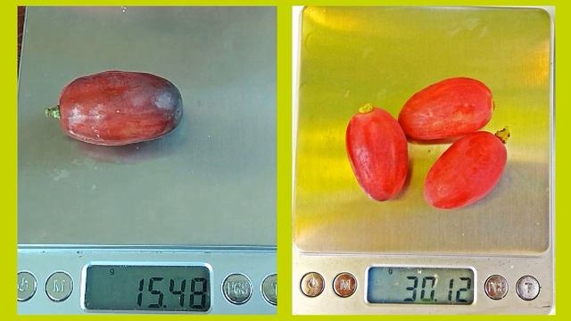 @Какой виноград посадить в 2020, Бешевский, Богему, Огненный смотреть онлайн