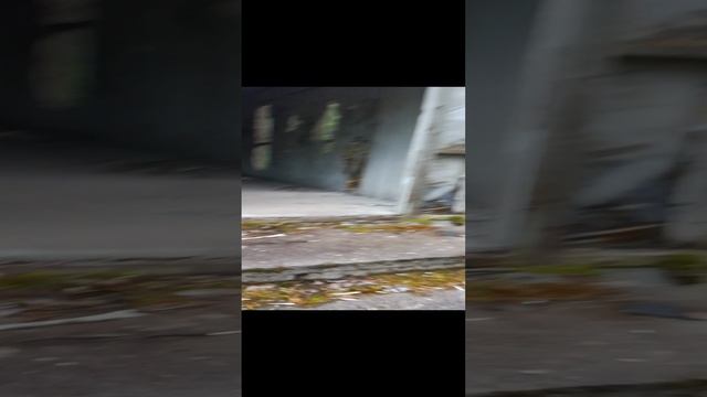 ржд заброшенный объект