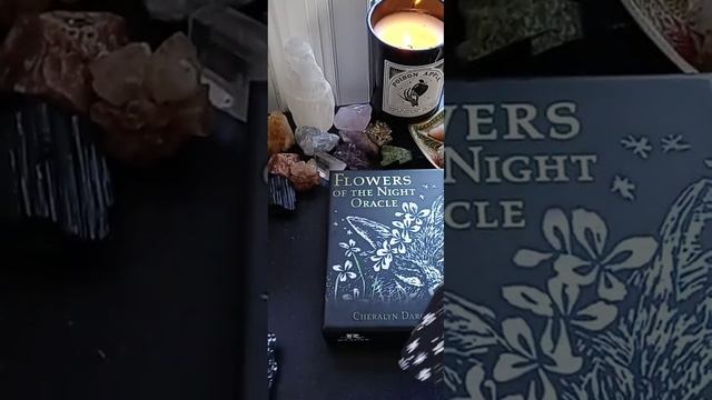 Capricorn - Flowers of the Night Oracle смотреть онлайн