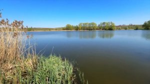 Ловля на паук и Экраны Поплавочная рыбалка на уклею