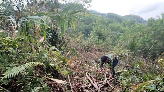 Collect Firewood To Store For The Cold Winter Episode 39