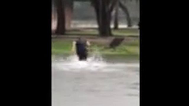 Running into a ditch full of rain water for 70$ (worth it) смотреть онлайн