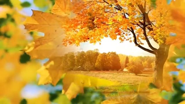 Сегодня мы открываем цикл познавательных программ "Любознайка" ? смотреть онлайн