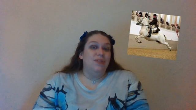 Leo's Book Reviews: "Valegro: The Little Horse With a Big Dream" and "Valegro: The Early Years" смотреть онлайн