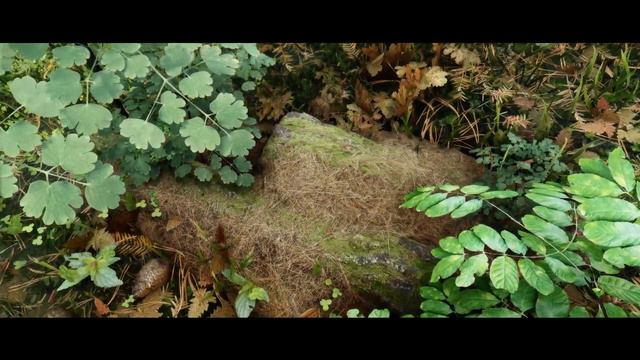 ULTRA MODS SKYRIM SE 2022 |2K| RTX 2060 WITH 355 Mods! 💥 #EVXENB EDITED. 30/50 FPS __ LANDSCAPE смотреть онлайн