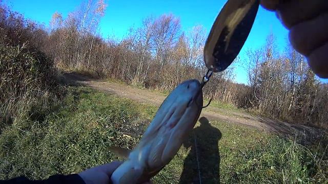 Осенняя рыбалка на реке смотреть онлайн