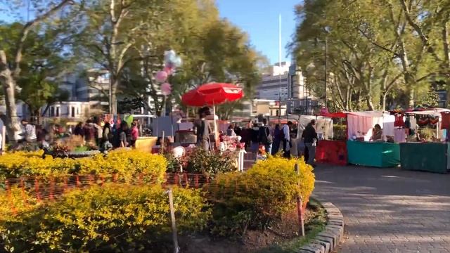 Прогулка в парк в Аргентине. Улицы столицы. смотреть онлайн