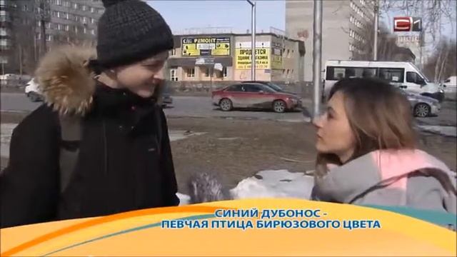 Катет гипотенуза смотреть онлайн