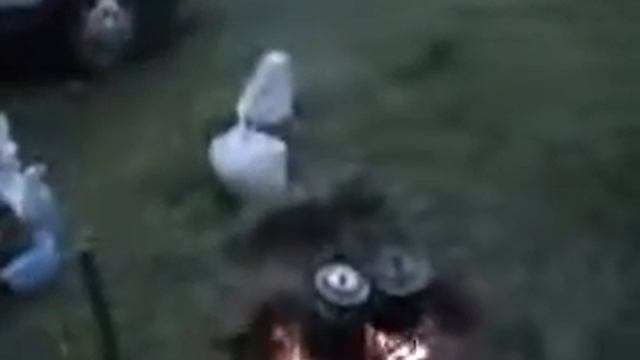 Молитва в ночи при благовестии. Игнатий Лапкин. смотреть онлайн