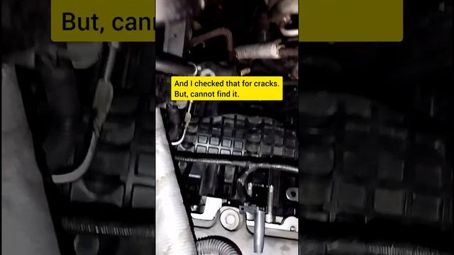 Holden Captiva 2.2 Diesel :  Big Hall On The Intake Manifold