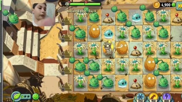 РАСТЕНИЯ ЗАЩИЩАЮТ ДОМ 🤯 ОТ ZOMBIE 🔥 ЖИВЫЕ РАСТЕНИЯ 😱 АТАКУЮТ ЗОМБАКОВ (28.06.2022)