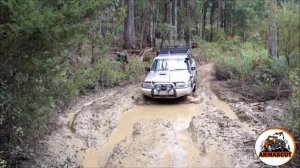 За что арабы любят Ниссан Патрол. Nissan Patrol.