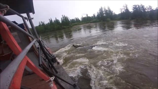 Тыва Лошади на переправе 2019 смотреть онлайн