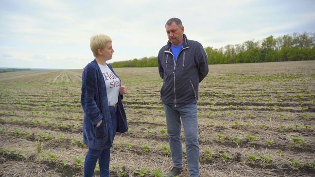 Технология strip-till | Минимальная обработка почвы | Технологии растениеводства смотреть онлайн