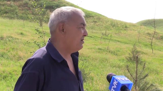 Деревья, посаженные по программе «Шаткал», засыхают смотреть онлайн