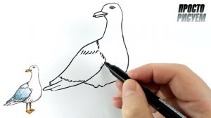 Как нарисовать ЧАЙКУ