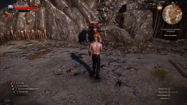 Кулаки ярости: Чемпион чемпионов | The Witcher 3