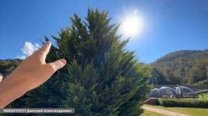 Обзор на отель Марриотт Красная поляна !!!