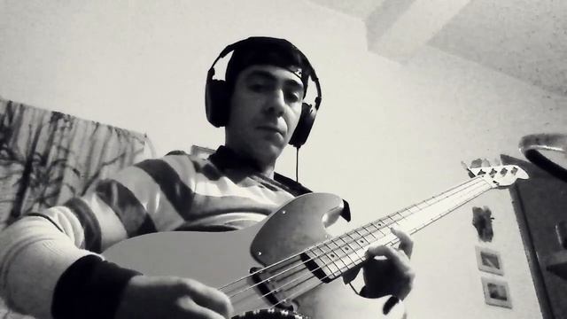 Vivace + Fender precision bass смотреть онлайн
