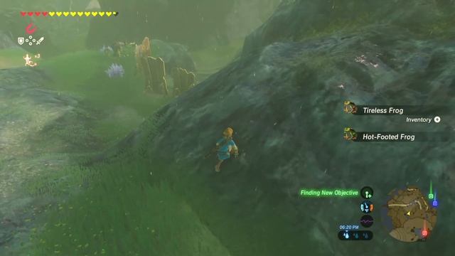 Hot Footed & Tireless Frog Farming Locations - The Legend of Zelda Breath of The Wild смотреть онлайн