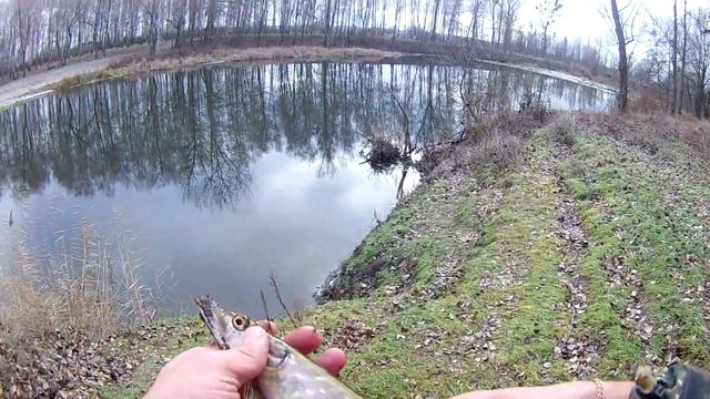 Ловля щуки на джиг с берега. Декабрь 2020. Pike fishing смотреть онлайн