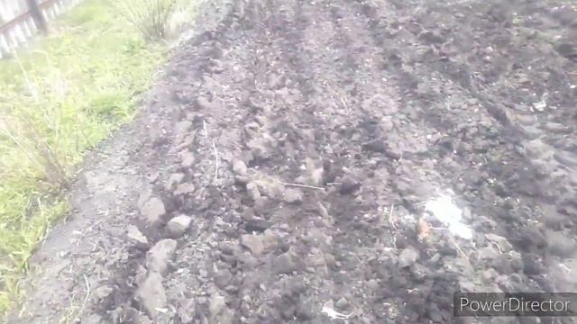 Самодельный культиватор на т 25.